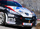 Michelini - Perna - Peugeot 207 S2000