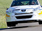 D. MEDICI - D. DE LUIS - PEUGEOT 207 S2000