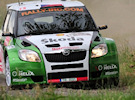 Kopecký Jan / Starý Petr   Škoda Fabia S2000